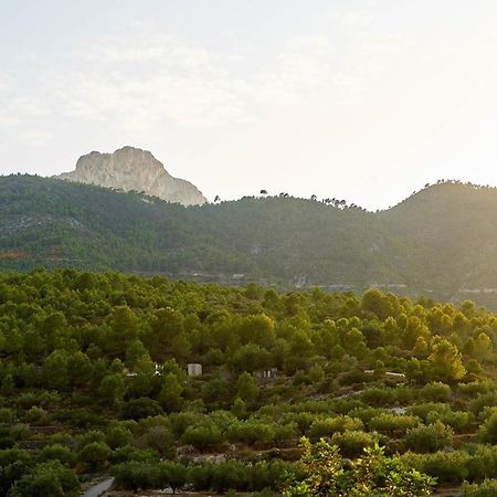 Casa Rural La Canal De Salem Kültér fotó