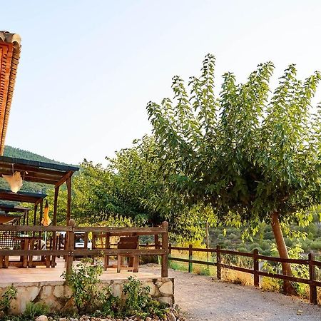 Casa Rural La Canal De Salem Kültér fotó