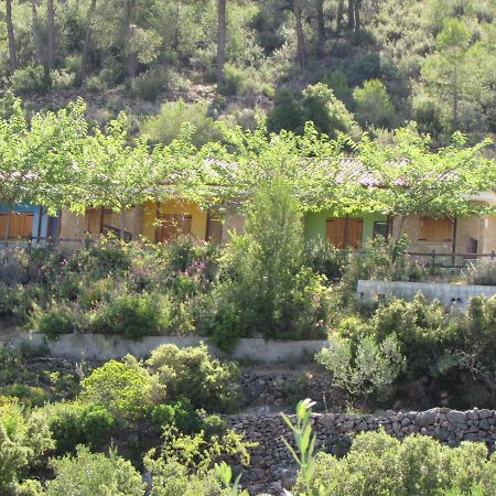 Casa Rural La Canal De Salem Kültér fotó
